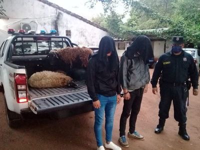 Detienen a jóvenes por robo de ovejas a un comisario